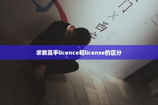 求教高手licence和license的区分