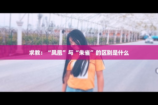 求教：“凤凰”与“朱雀”的区别是什么