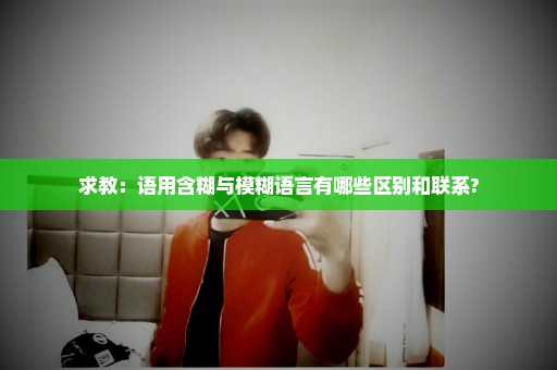 求教：语用含糊与模糊语言有哪些区别和联系?