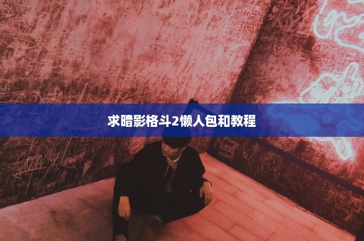 求暗影格斗2懒人包和教程