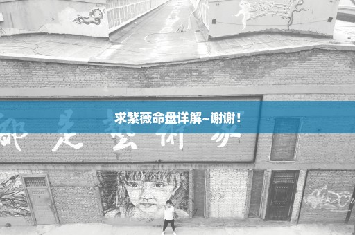 求紫薇命盘详解~谢谢！