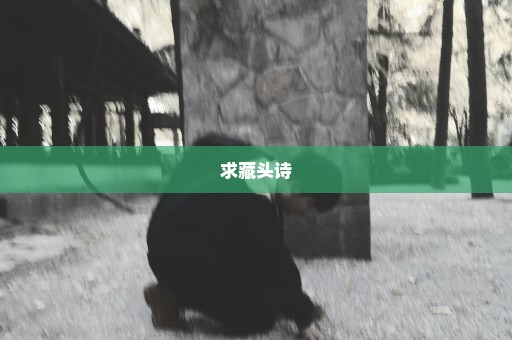 求藏头诗
