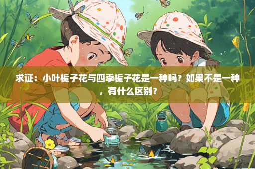 求证：小叶栀子花与四季栀子花是一种吗？如果不是一种，有什么区别？