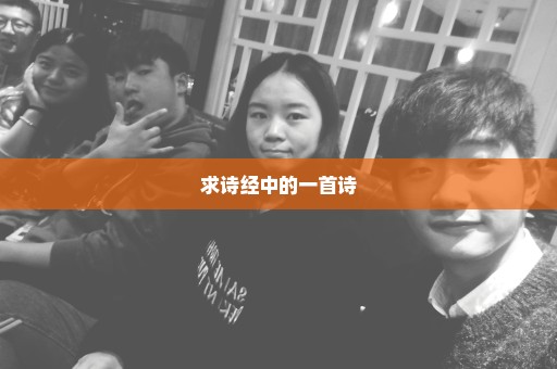 求诗经中的一首诗