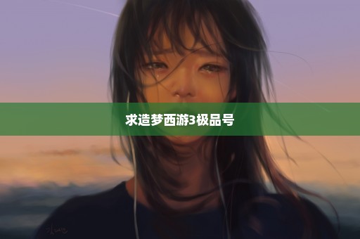 求造梦西游3极品号