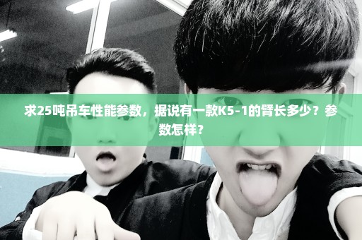 求25吨吊车性能参数，据说有一款K5-1的臂长多少？参数怎样？