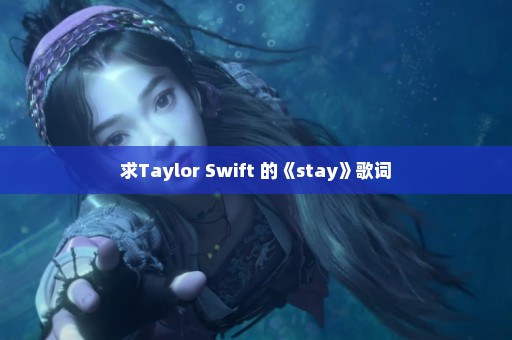 求Taylor Swift 的《stay》歌词