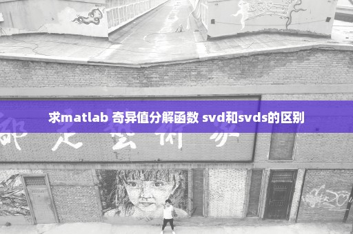求matlab 奇异值分解函数 svd和svds的区别
