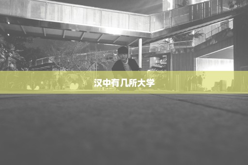 汉中有几所大学