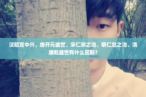 汉昭宣中兴、唐开元盛世、宋仁宗之治、明仁宣之治、清康乾盛世有什么区别？