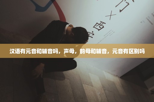 汉语有元音和辅音吗，声母，韵母和辅音，元音有区别吗