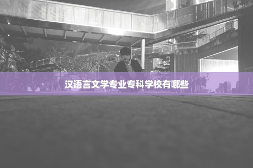 汉语言文学专业专科学校有哪些