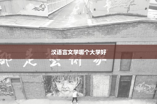 汉语言文学哪个大学好