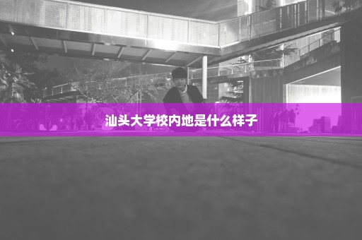 汕头大学校内地是什么样子
