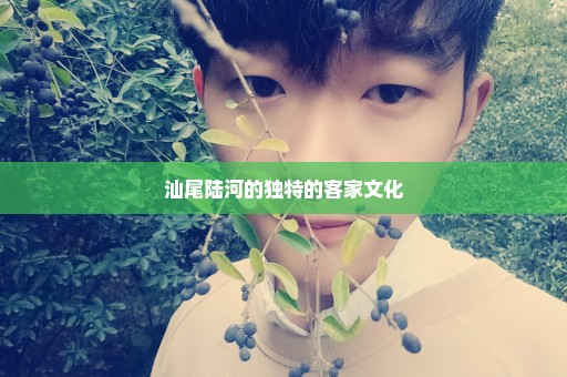 汕尾陆河的独特的客家文化