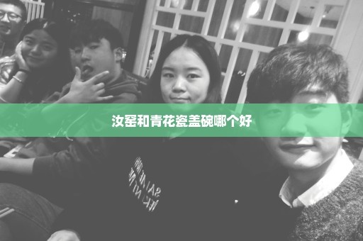 汝窑和青花瓷盖碗哪个好