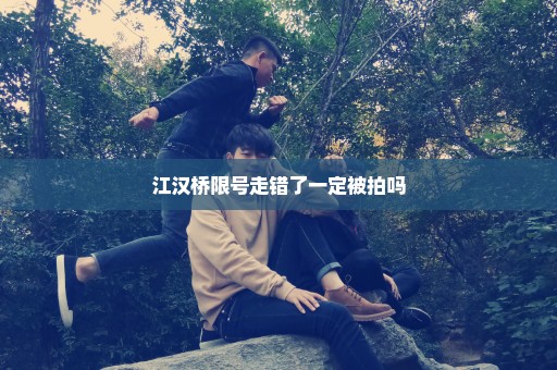 江汉桥限号走错了一定被拍吗