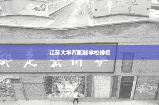 江苏大学有哪些学校排名