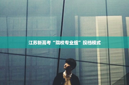 江苏新高考“院校专业组”投档模式