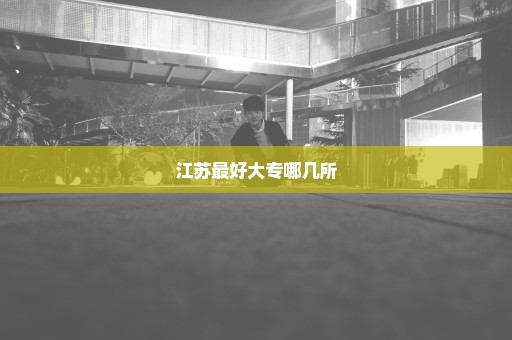 江苏最好大专哪几所