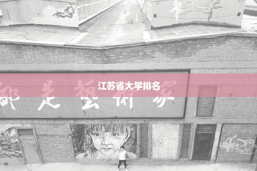 江苏省大学排名
