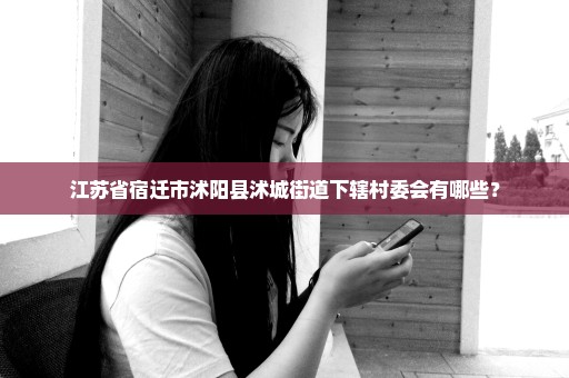 江苏省宿迁市沭阳县沭城街道下辖村委会有哪些？