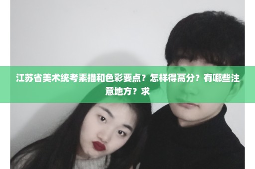 江苏省美术统考素描和色彩要点？怎样得高分？有哪些注意地方？求
