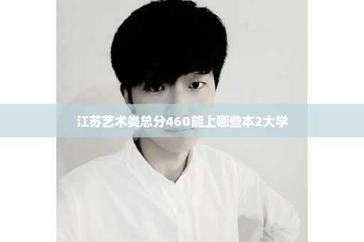 江苏艺术类总分460能上哪些本2大学