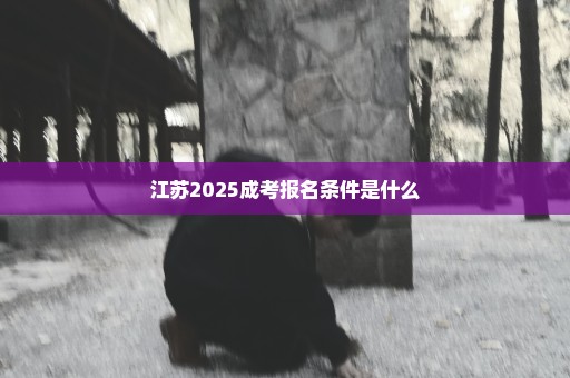 江苏2025成考报名条件是什么