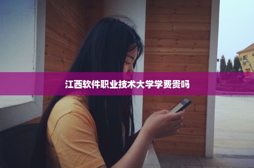 江西软件职业技术大学学费贵吗