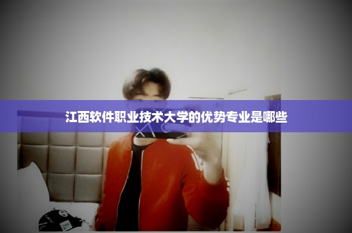 江西软件职业技术大学的优势专业是哪些