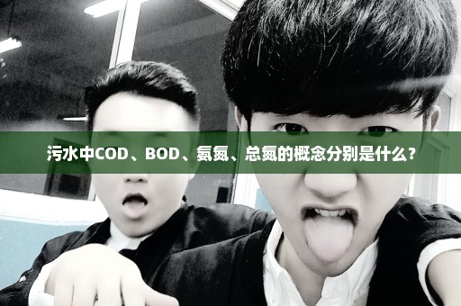 污水中COD、BOD、氨氮、总氮的概念分别是什么？