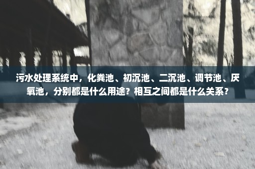 污水处理系统中，化粪池、初沉池、二沉池、调节池、厌氧池，分别都是什么用途？相互之间都是什么关系？
