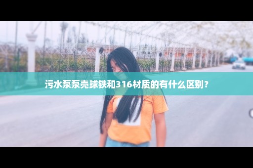 污水泵泵壳球铁和316材质的有什么区别？