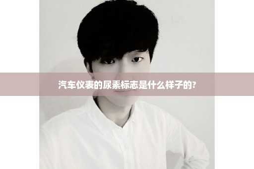 汽车仪表的尿素标志是什么样子的?