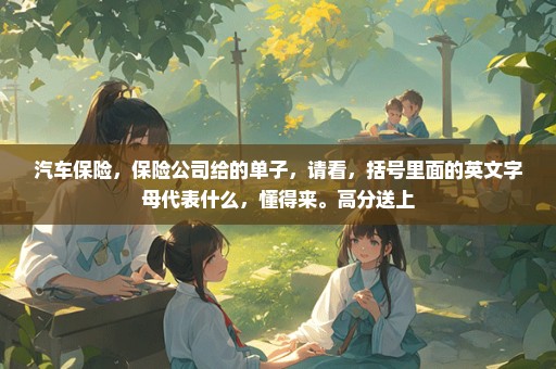 汽车保险，保险公司给的单子，请看，括号里面的英文字母代表什么，懂得来。高分送上