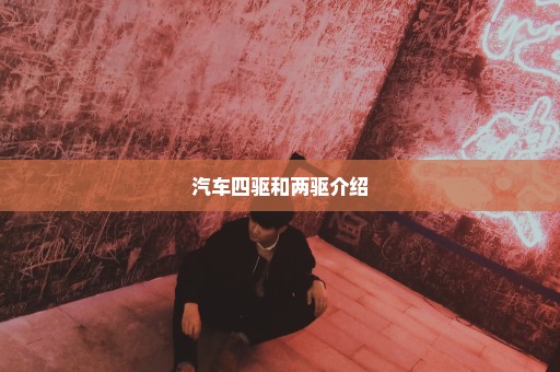 汽车四驱和两驱介绍