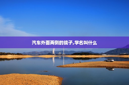 汽车外面两侧的镜子,学名叫什么