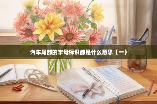 汽车尾部的字母标识都是什么意思（一）