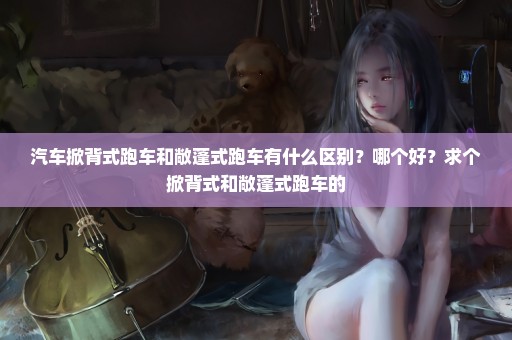 汽车掀背式跑车和敞蓬式跑车有什么区别？哪个好？求个掀背式和敞蓬式跑车的