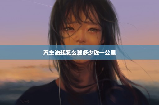 汽车油耗怎么算多少钱一公里