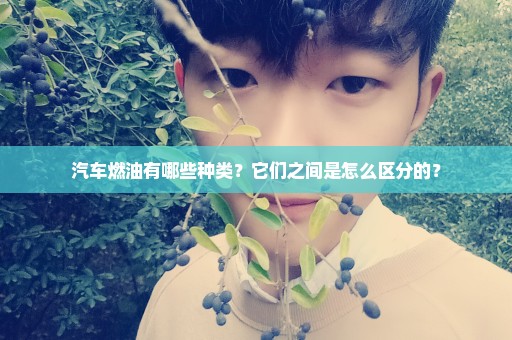 汽车燃油有哪些种类？它们之间是怎么区分的？