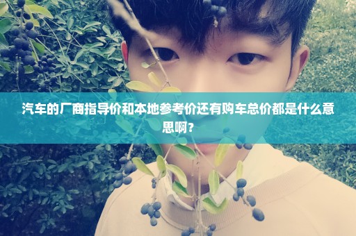 汽车的厂商指导价和本地参考价还有购车总价都是什么意思啊？