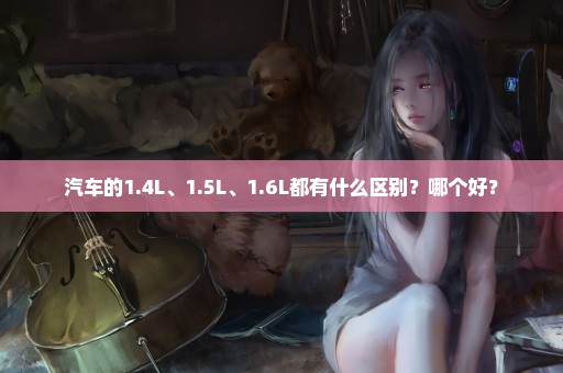 汽车的1.4L、1.5L、1.6L都有什么区别？哪个好？