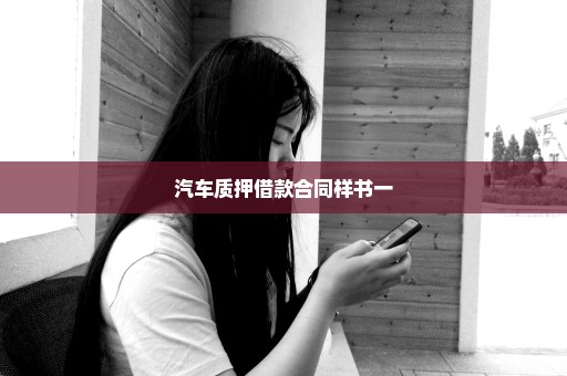 汽车质押借款合同样书一