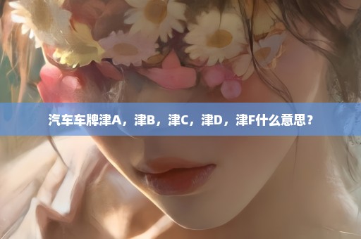 汽车车牌津A，津B，津C，津D，津F什么意思？