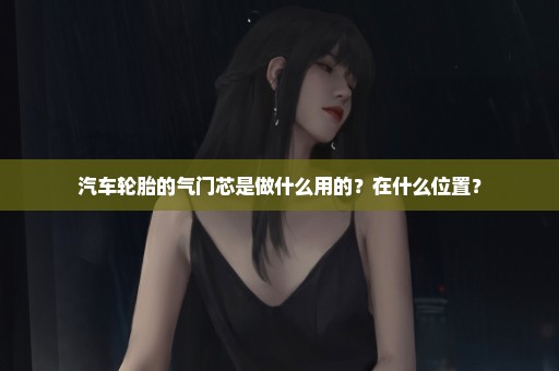汽车轮胎的气门芯是做什么用的？在什么位置？
