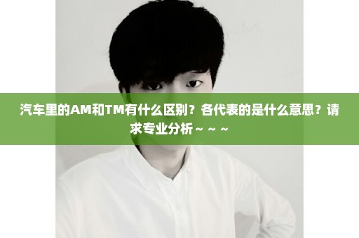 汽车里的AM和TM有什么区别？各代表的是什么意思？请求专业分析～～～