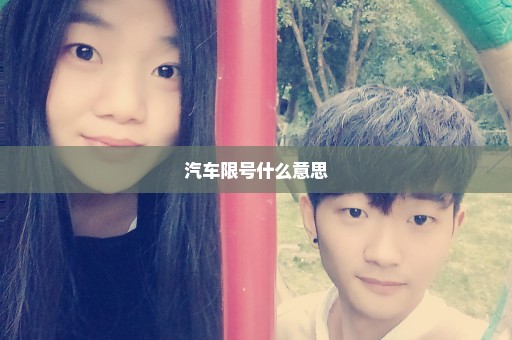 汽车限号什么意思
