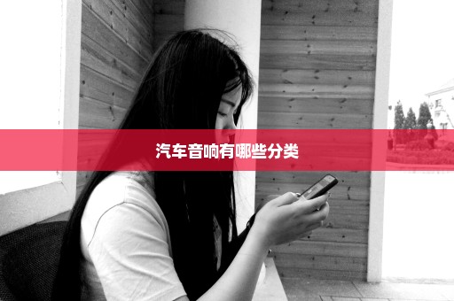 汽车音响有哪些分类